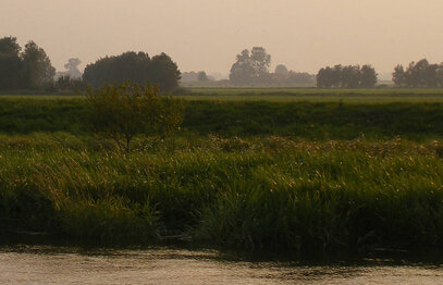 Hammrichlandschaft an der Jümme